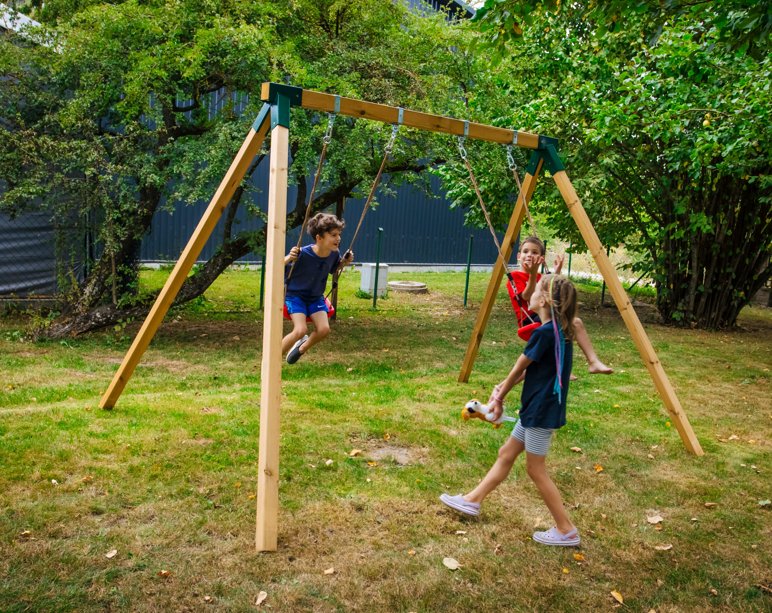 Huśtawka - obrazek 3