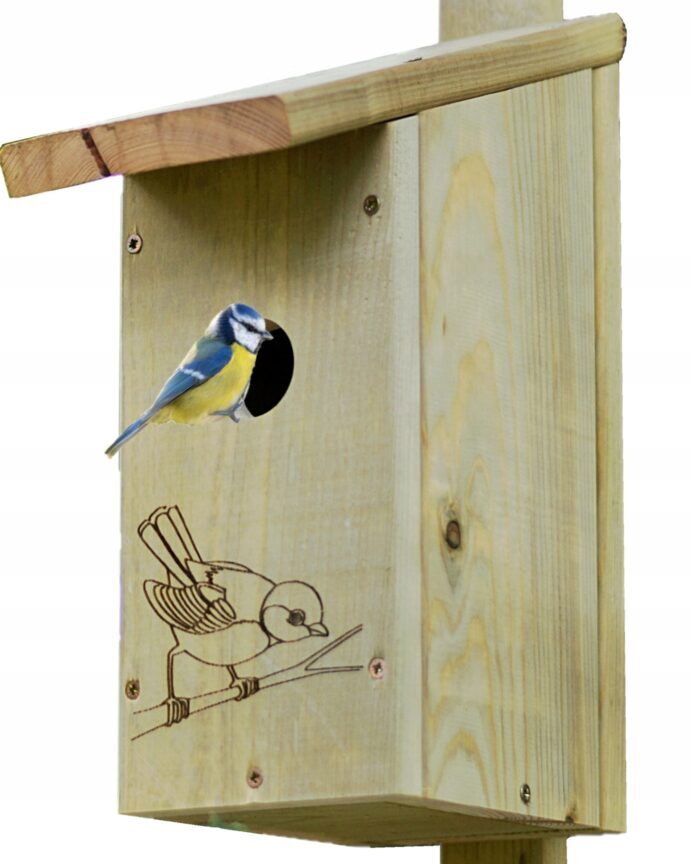 ea877a1b371425b322c9d9365d20a967 e1697452633581